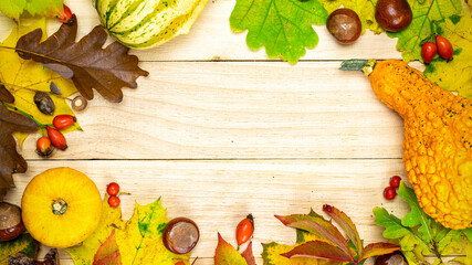 Autumn decor. Natural harvest with orange pumpkin, fall dried leaves, red berries and acorns, chestnuts on wooden background in shape frame. Halloween, Thanksgiving day or seasonal autumnal.