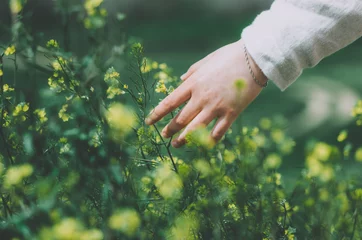 Fotobehang Close up hand of woman dressed in linen touching blossoming yellow wild flowers in a flower field  © Cristina