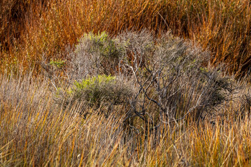 Pouawa Beach, Lagoon, and Marine Reserve, Gisborne, East Coast, North Island, New Zealand 