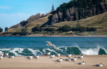 Pouawa Beach, Lagoon, and Marine Reserve 