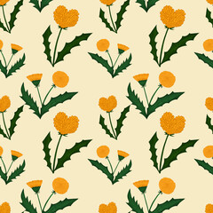 Seamless Pattern Orange fluffy dandelion flowers with green heart-shaped leaves, summer and spring flowers, yellow plant background, logo, for printing, design, decor, postcards, websites, decoration