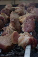 fried kebabs on skewers