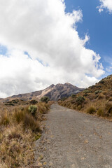 Landscapes of the Los Nevados National Natural Park in Manizales, Caldas, Colombia.