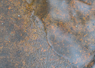 A rusty piece of metal half-drenched in rainwater. Texture. Closeup