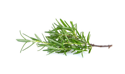 Fresh rosemary isolated on white background