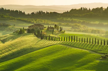 Fotobehang Green Toscany © Lindemberg