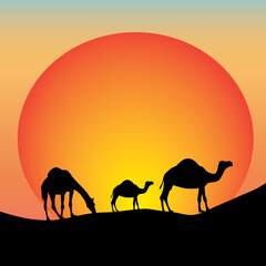 Fototapeta na wymiar camel and sun background