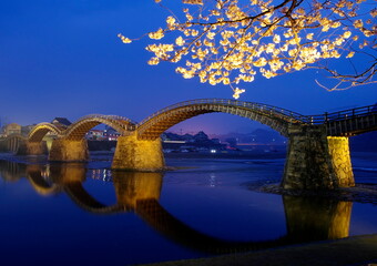 錦帯橋夜桜