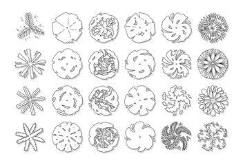 hand drawn vector set of top view tree.