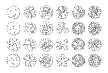 Obraz premium hand drawn vector set of top view tree.