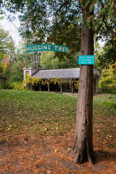 Hugging Tree sign hanging from a tree in a park
