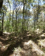 Bosques Hidalgo