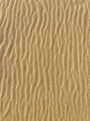 Fototapeta na wymiar Ripples in sand dune at low tide