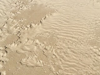 Ripples in sand dune on a windy day