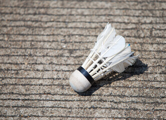 badminton racket and shuttlecock on the ground