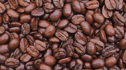 coffee beans background