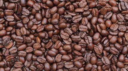 coffee beans background