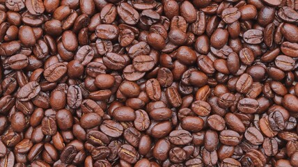 coffee beans background