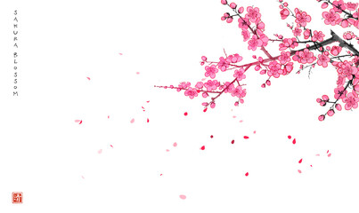Blossoming sakura branch and falling petals. Traditional oriental ink painting sumi-e, u-sin, go-hua. Hieroglyph - clarity.