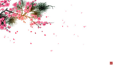 Pine tree branch and blossoming sakura tree on white background. Traditional oriental ink painting sumi-e, u-sin, go-hua. Hieroglyph - beauty. © elinacious