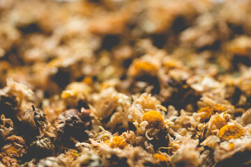 Close up of Dried Chrysanthemum, the herb is often used as a health care