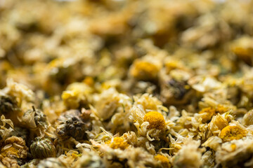 Close up of Dried Chrysanthemum, the herb is often used as a health care