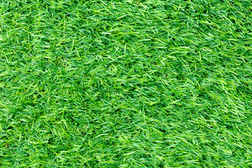 Green artificial grass background