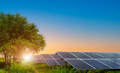 Photovoltaic modules solar power plant in Tree green leaves on with a meadow at landscape views on...
