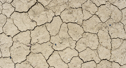 Brown dry soil or desert cracked ground texture background,land arid earth warming.