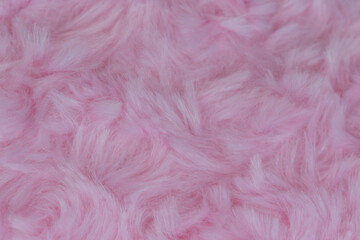 Fototapeta premium Pink luxury wool natural fluffy fur wool skin texture close-up