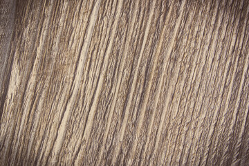 Old wooden rustic board as backdrop or background texture. Place for text