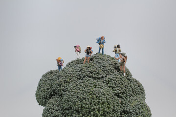 a mini figure travel at broccoli tree.