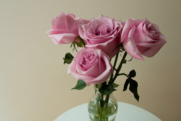 Fresh Pink Roses bouquet with water drops in a glass vase, beige background, indoors