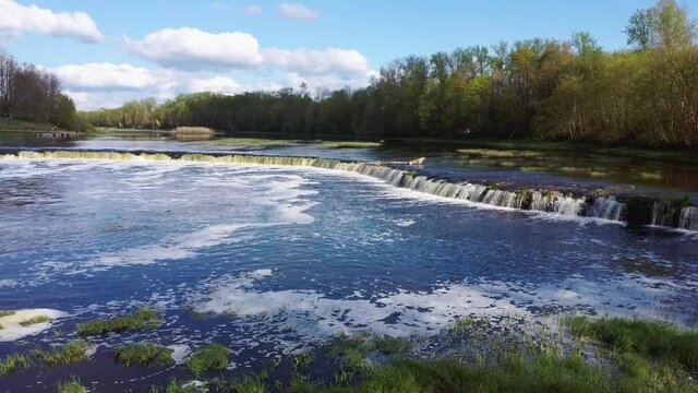 Flying Fish at Ventas Rumba Waterfall. The Widest Waterfall in Europe in Latvia Kuldiga Also Called Goldingen on River Venta. Aerial Dron Shot