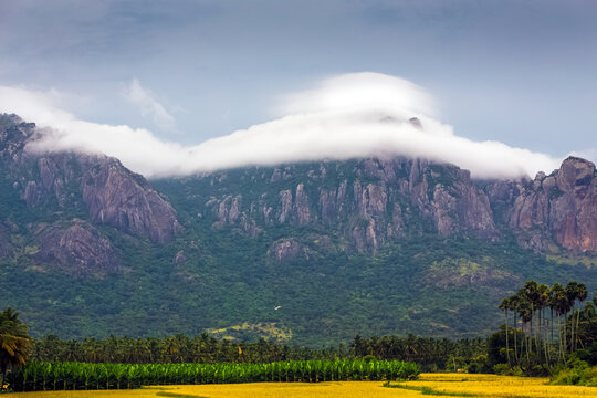 Wonderful monsoon climate with Misty white clouds mountain background. TAADAHAI MALAI in Thittuvilai near NAGERCOIL, KANYAKUMARI DISTRICT, Tamil Nadu. INDIA.