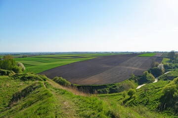 Cultivated fields meadows rural landscape