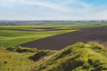 Fototapeta na wymiar Landscape hill of fields and meadows