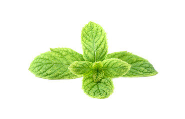 peppermint isolated on white background.
