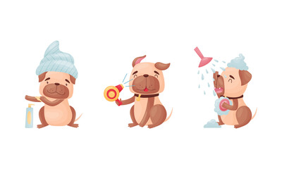 Cartoon Pug Dog Character Grooming Drying Fur and Taking Shower Vector Set