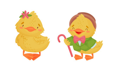 Cute Yellow Duckling in Suit Holding Cane and Standing Vector Set