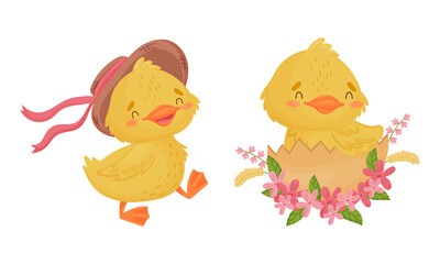 Cute Yellow Duckling Hatching from Egg and Walking in Hat Vector Set
