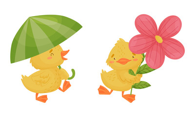 Cute Yellow Duckling Holding Umbrella and Flower Vector Set