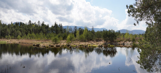 Wildes Moor bei Kolbermoor/Bad Feilnbach