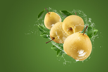 Water splashing and Fresh Chinese pear fruit isolated on green background