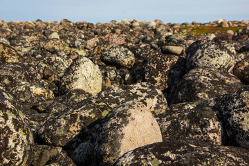 Dragon Eggs Beach. Pebble beach on the southern coast of the Arctic Ocean, Teriberka, Murmansk region.