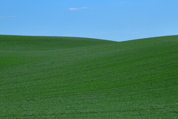 Smooth green field under a clear blue sky. Minimalist rural landscape with gentle hills, vivid colors, and a peaceful, abstract atmosphere
