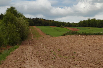 Agriculture landscape © Maciej Bonk