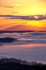 輝く朝陽の下に雲海の広がるドラマチックな夜明け。日本の北海道の美幌峠。