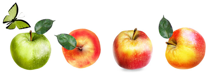 Color apples on white background