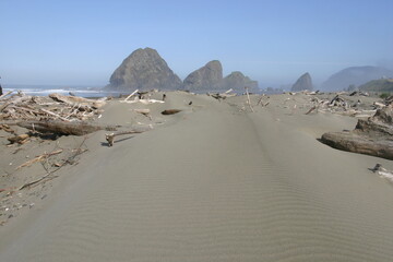 Fototapeta na wymiar Oregon Beach showing Large Pinnacle Boulders Being Eroded By the Surf with Sandy Beach Dunes in the Foreground